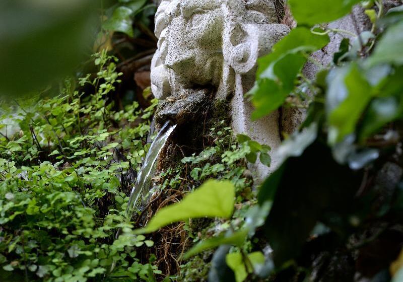 Fotos del hotel Giulio Cesare:  24