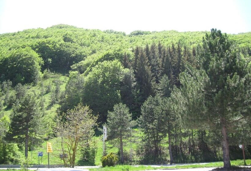 فندق Holidays