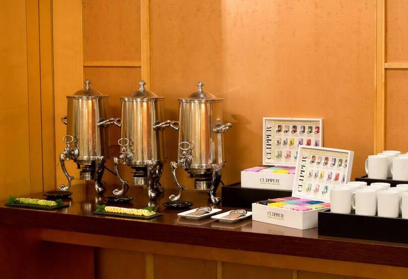 Fotos del hotel Starhotels Metropole:  96