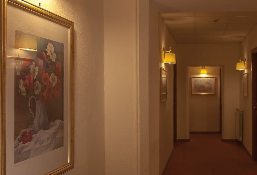 Fotos del hotel Tirreno:  12