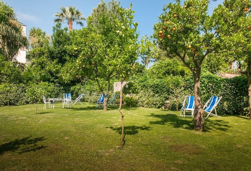 هتل Eliseo Park's
