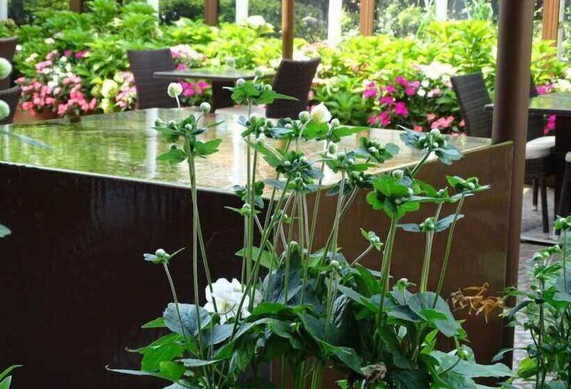 Fotos del hotel Leopardi:  23 Fotos del hotel Leopardi:  23