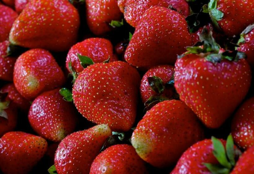 فندق Locanda Dell'Amorosa