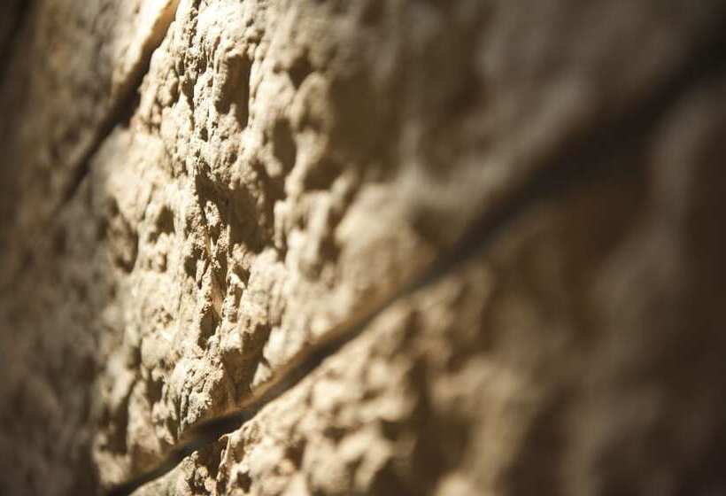 Fotos del hotel Montresor Hotel Palace:  13