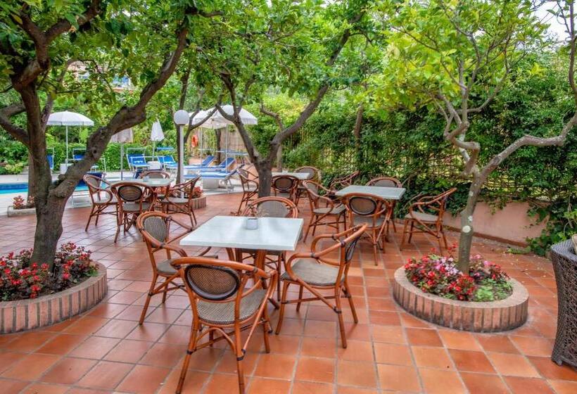 בית מלון כפרי Regina