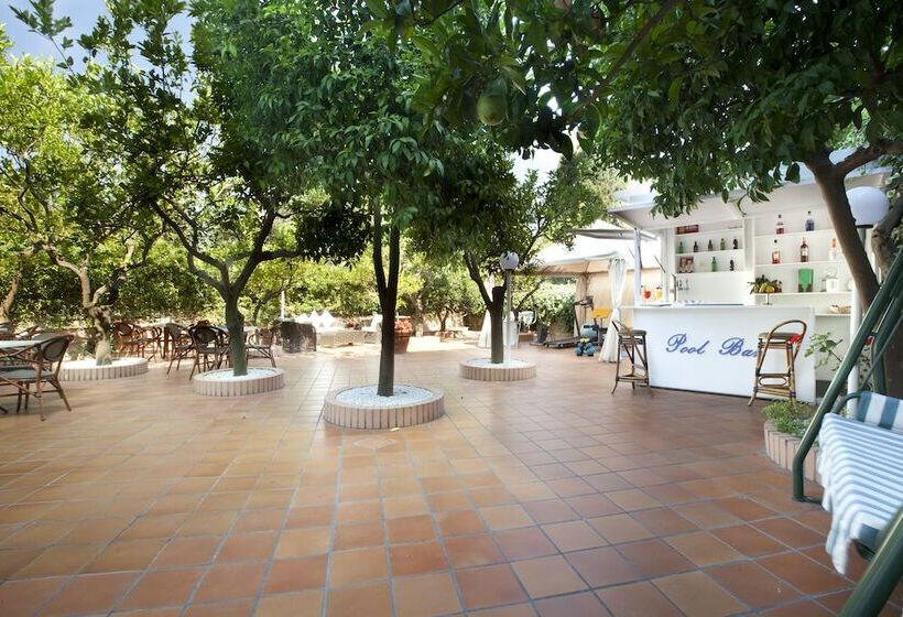 בית מלון כפרי Regina