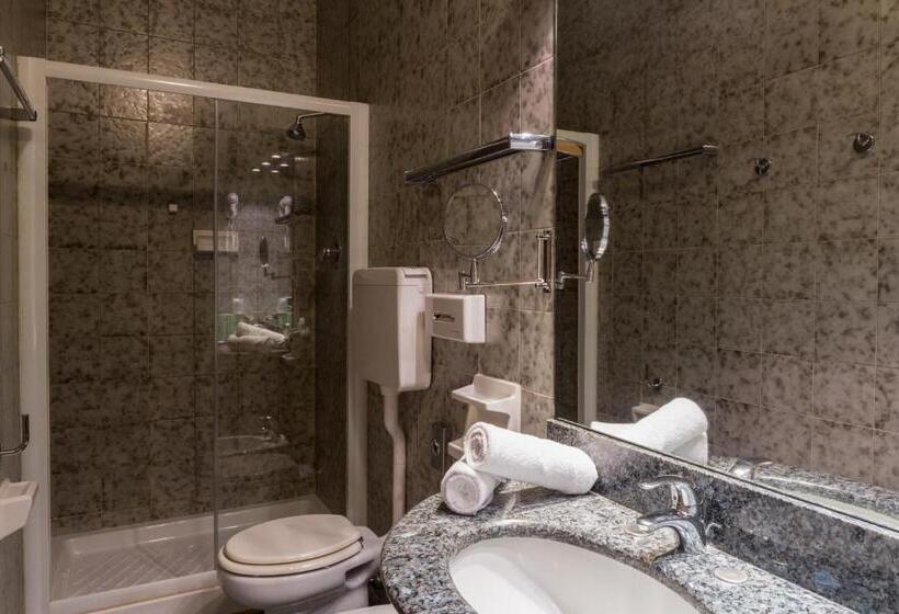 Fotos del hotel Torino Royal:  74