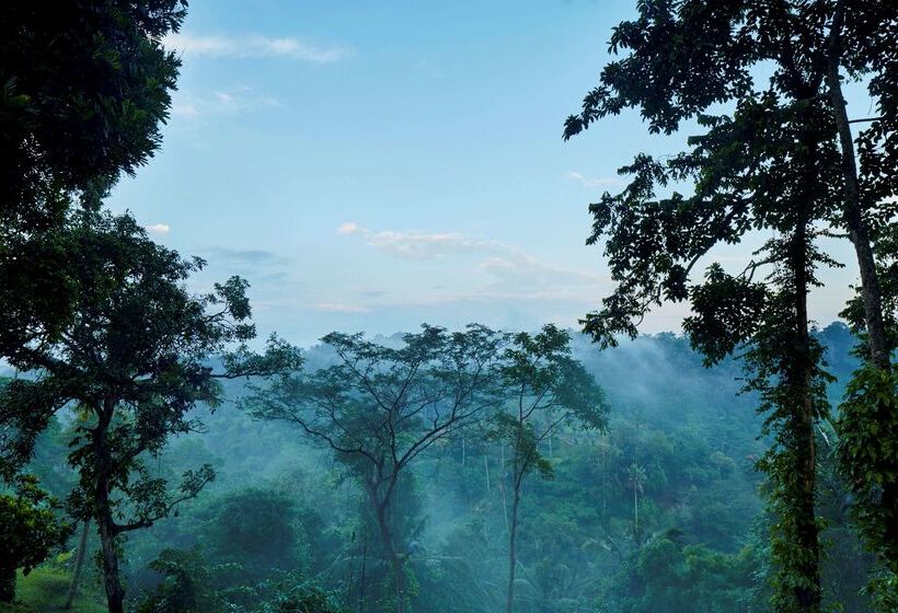 Fotos del hotel Amandari Ubud:  23