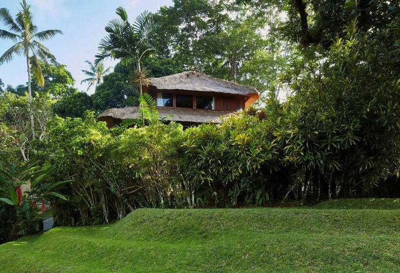 Fotos del hotel Amandari Ubud:  8