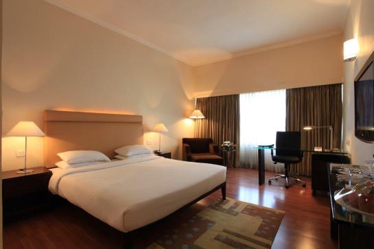 Hotel Edenpark New Delhi