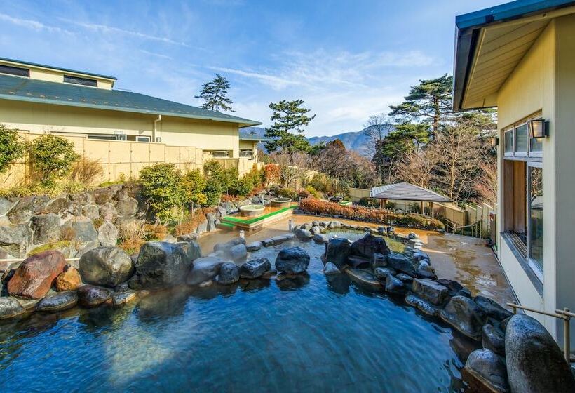 Fotos del hotel Hakone Kowakien Tenyu:  24
