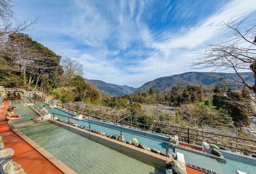 Fotos del hotel Hakone Kowakien Tenyu:  47