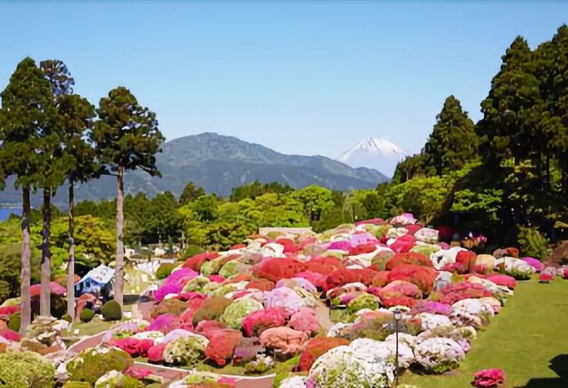 Fotos del hotel Odakyu Hotel De Yama:  20