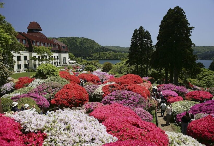 Fotos del hotel Odakyu Hotel De Yama:  40