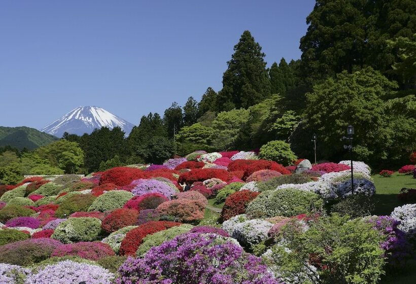Fotos del hotel Odakyu Hotel De Yama:  42