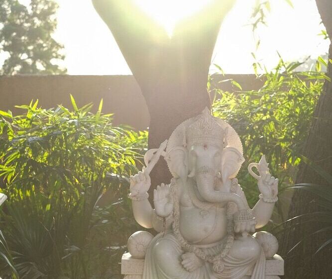 Fotos del hotel Rajmahal Palace:  23