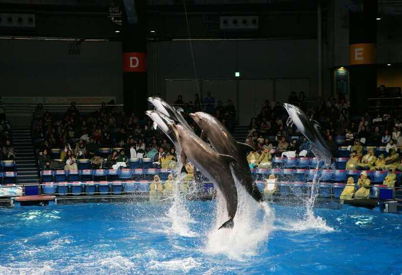 Fotos del hotel Shinagawa Prince:  55