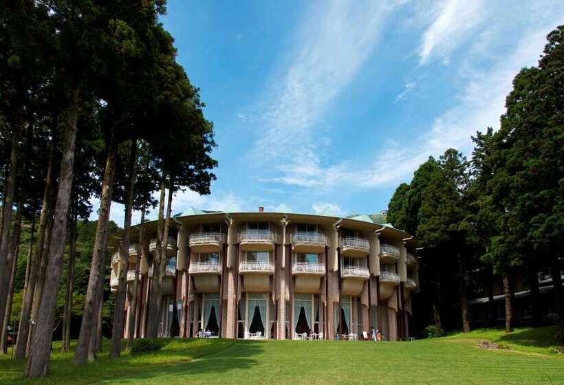 Fotos del hotel Hakone Prince:  17