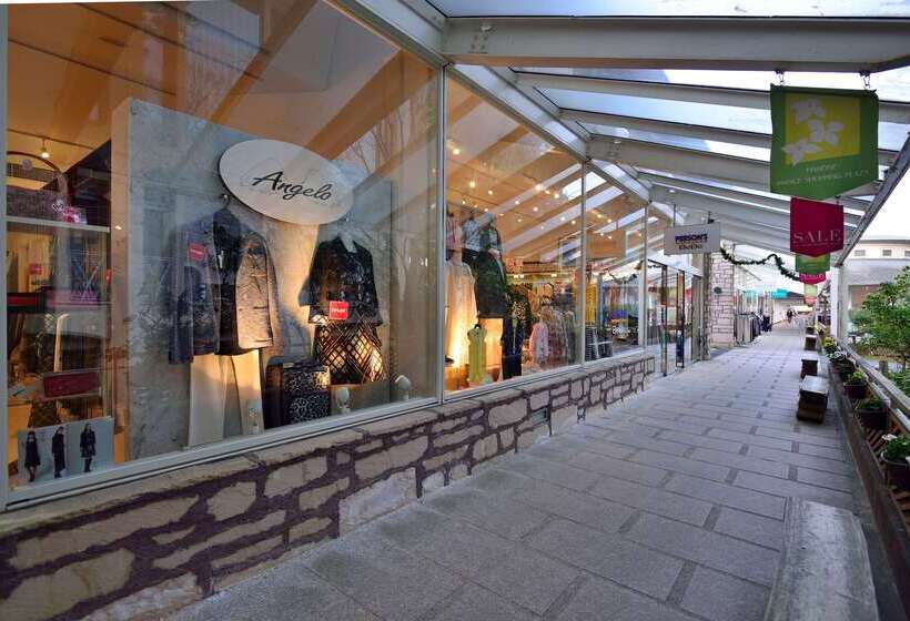 Fotos del hotel Hakone Prince:  34