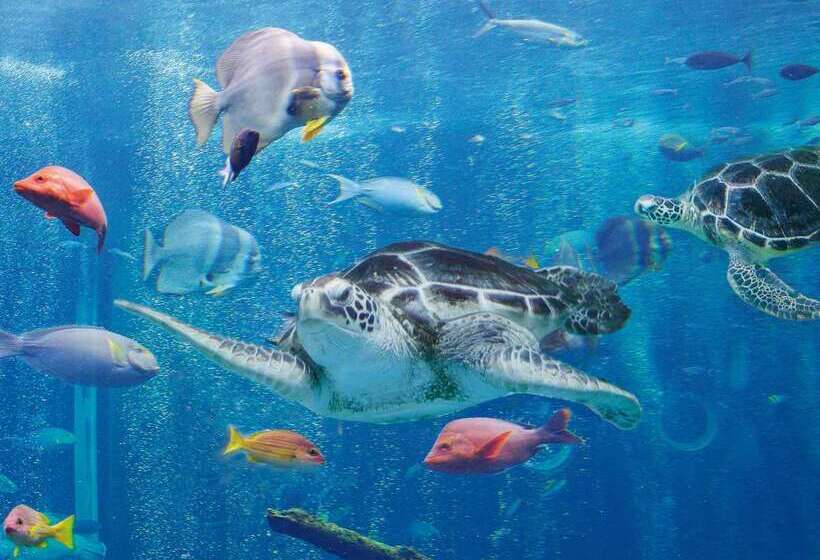 Fotos del hotel Hakone Prince:  24