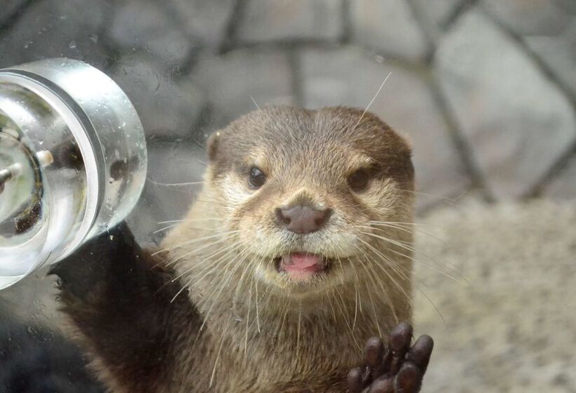 Fotos del hotel Hakone Prince:  39