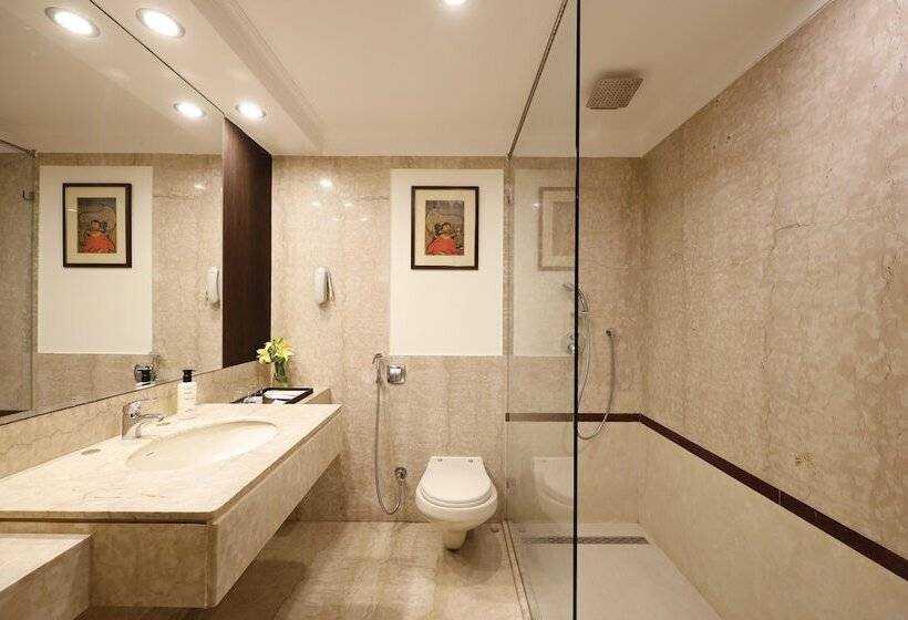 Fotos del hotel Mansingh:  18