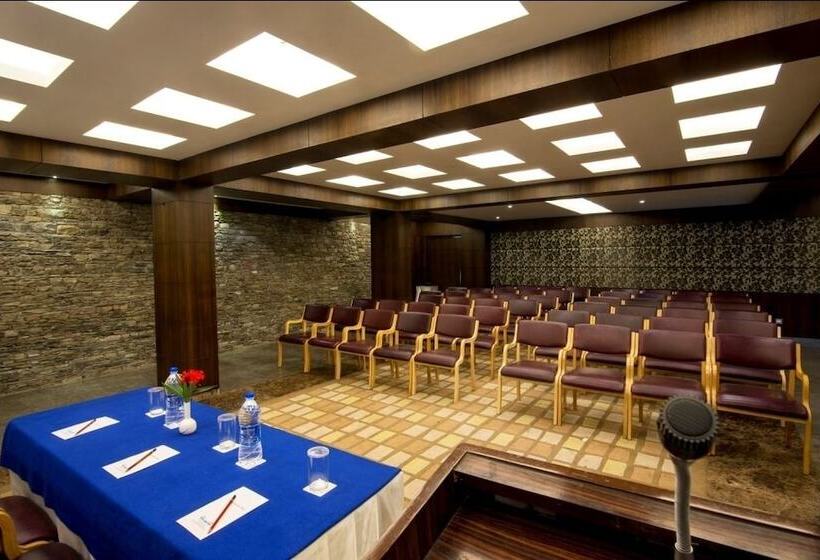 Отель Vikram Vintage Inn