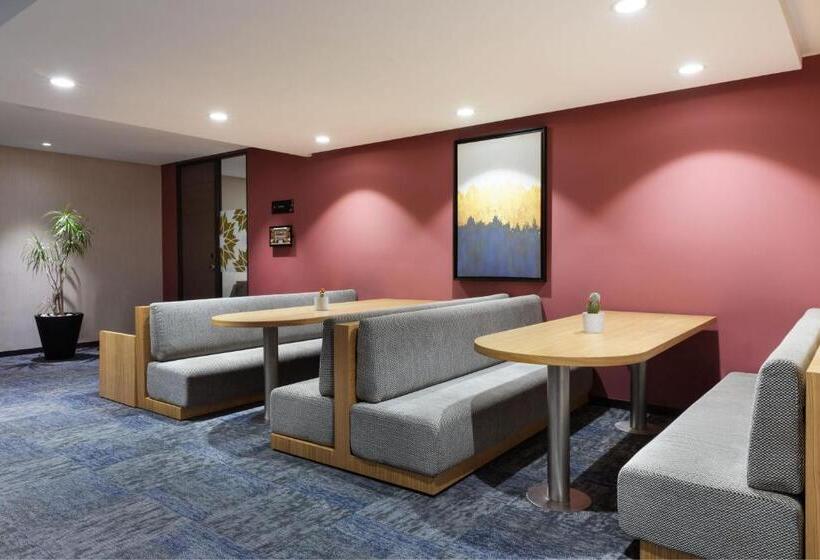Fotos del hotel Sheraton Casablanca Hotel & Towers:  30