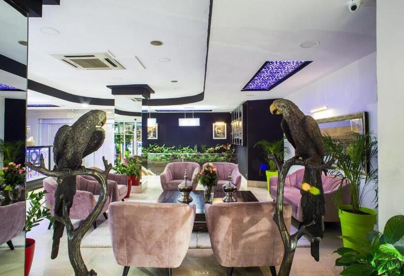 Fotos del hotel Hôtel Tanjah Flandria:  53