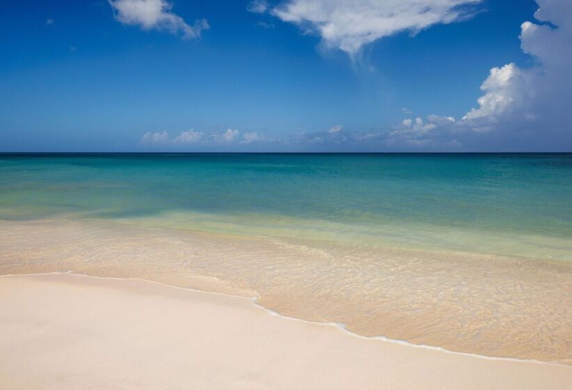 Fotos del hotel Sandals Montego Bay All Inclusive  Couples Only:  52