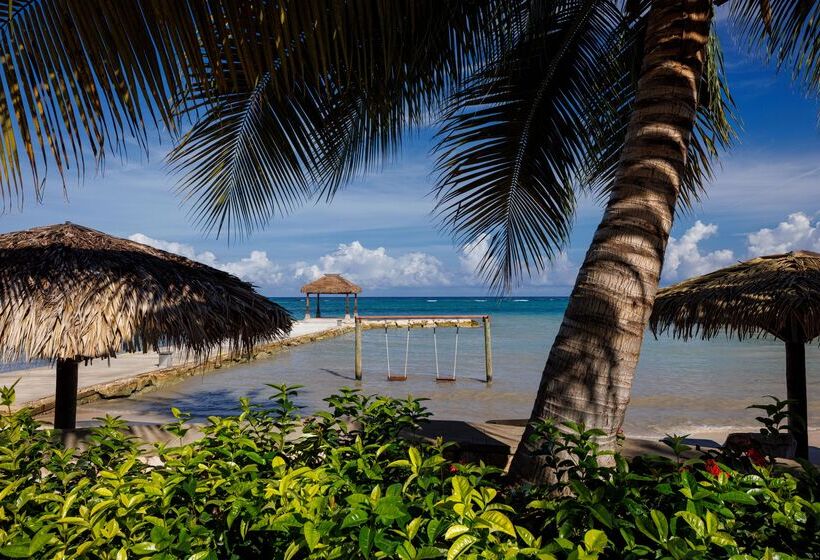 Fotos del hotel Sandals Montego Bay All Inclusive  Couples Only:  59