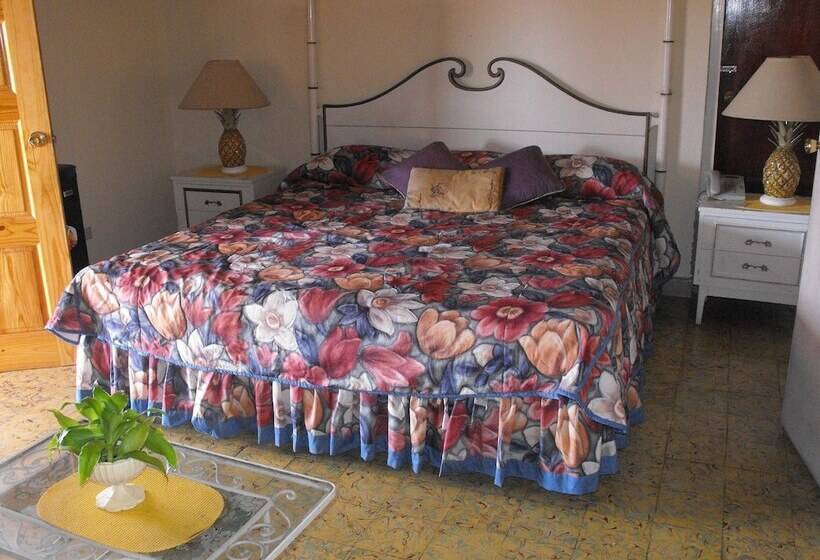 Fotos del hotel Verney House Resort:  4