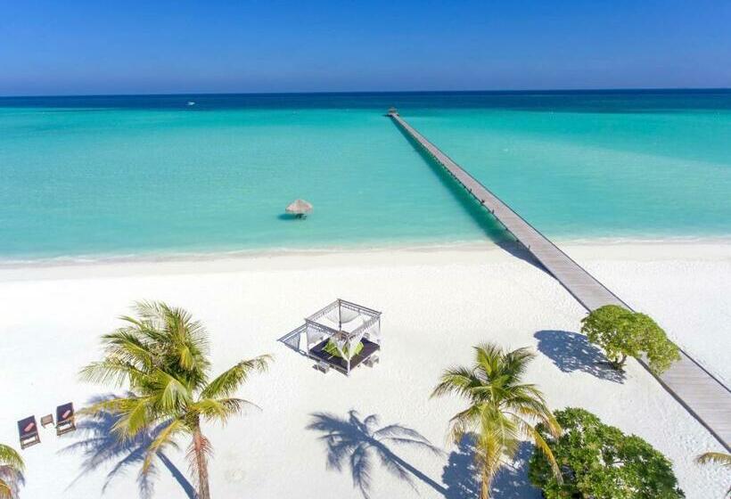 Holiday Island Resort