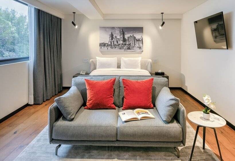 Fotos del hotel Suites Amberes:  23