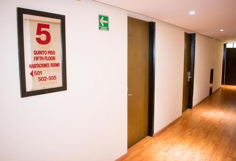 Fotos del hotel Del ángel Reforma:  52