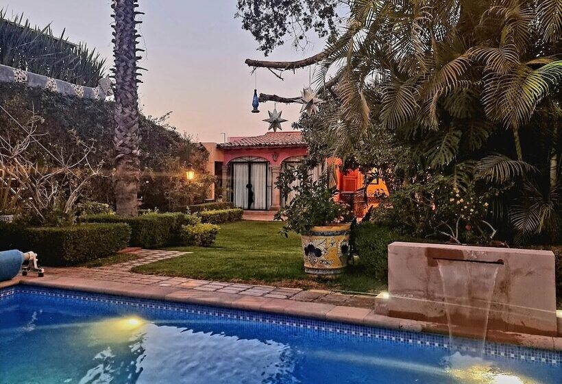 هتل Hacienda De Las Flores