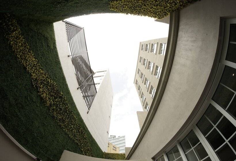 Fotos del hotel Isaaya Hotel Boutique By Wtc:  19