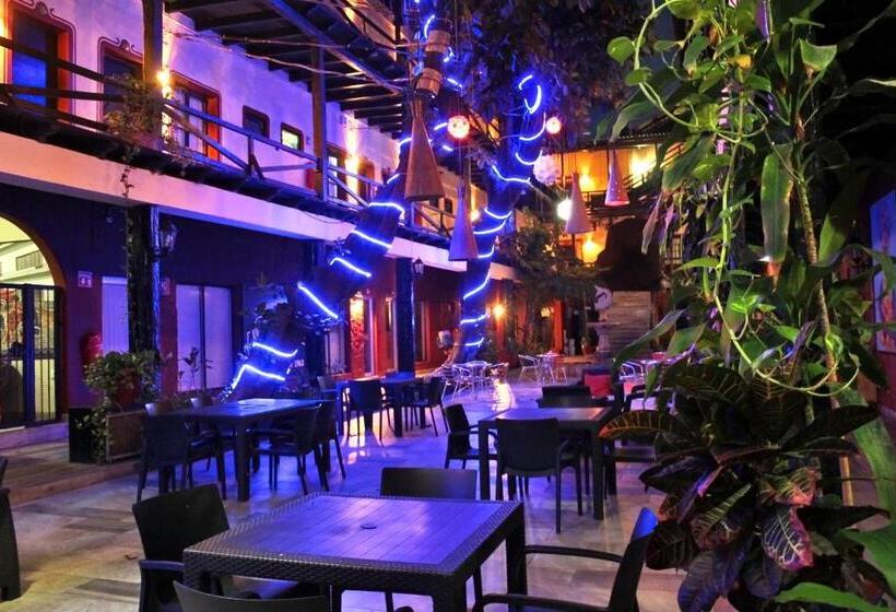 Fotos del hotel La Siesta:  9