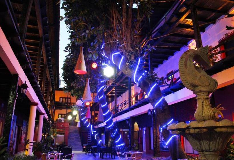 Fotos del hotel La Siesta:  10