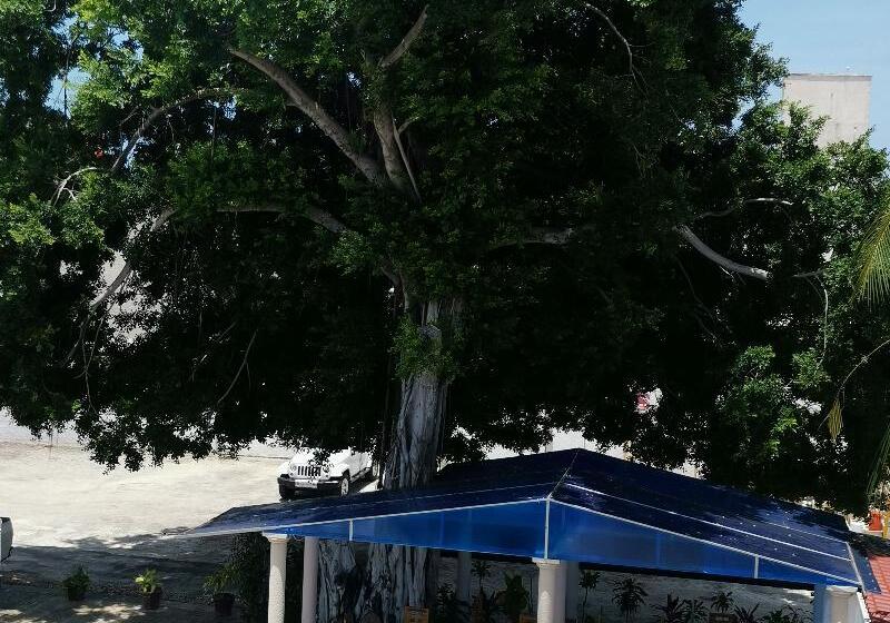 Fotos del hotel Maria De Lourdes:  21