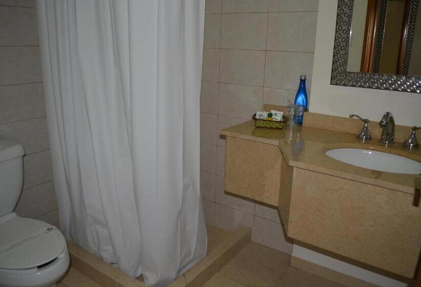 Fotos del hotel Ruiz Milán:  14