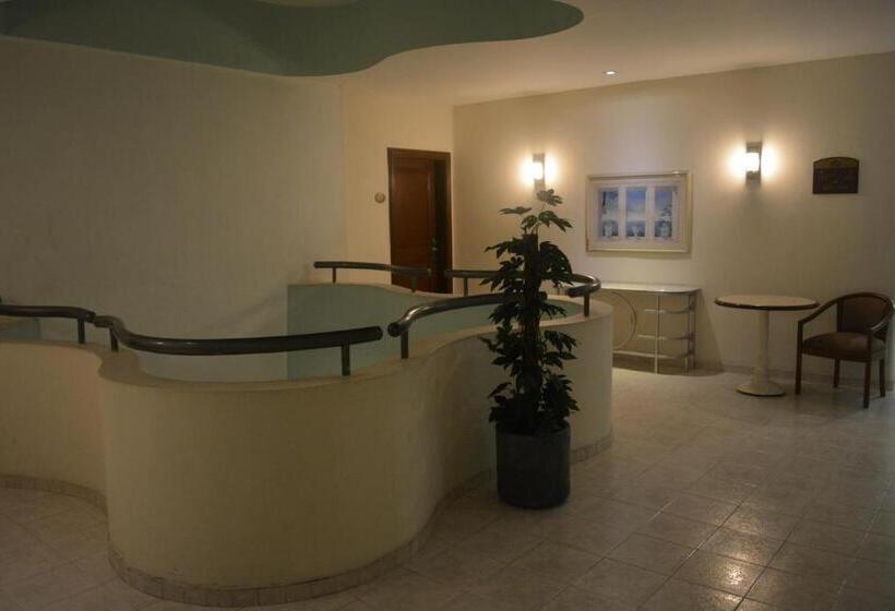 Fotos del hotel Ruiz Milán:  21