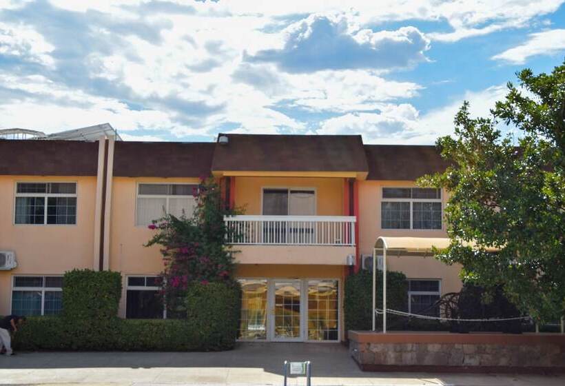 Fotos del hotel Sicomoro:  2