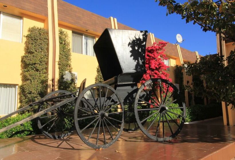 Fotos del hotel Sicomoro:  4