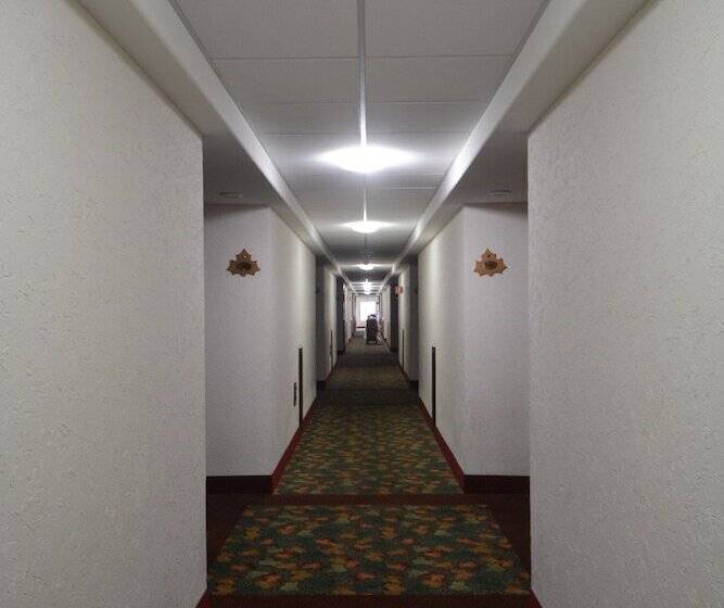Fotos del hotel Sicomoro:  12