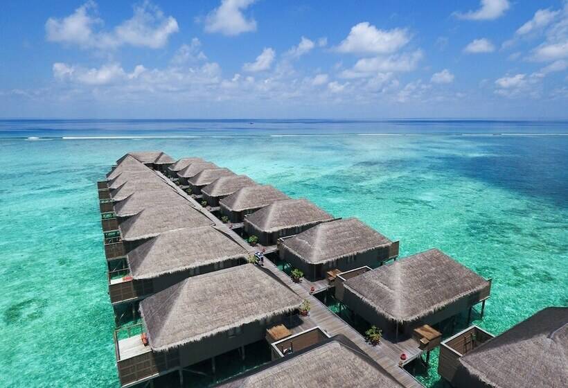 Meeru Maldives Resort Island