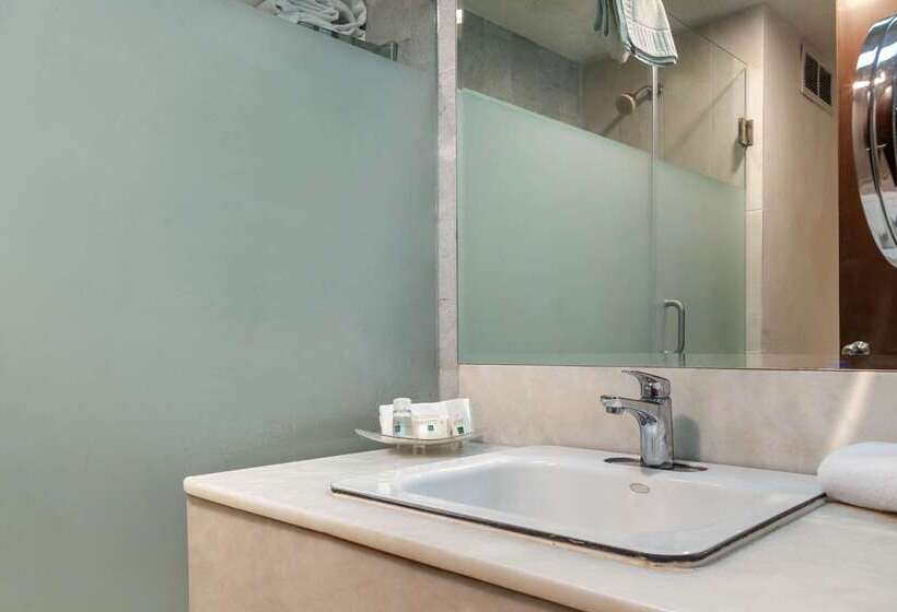 Fotos del hotel Quality Inn & Suites Saltillo Eurotel:  35