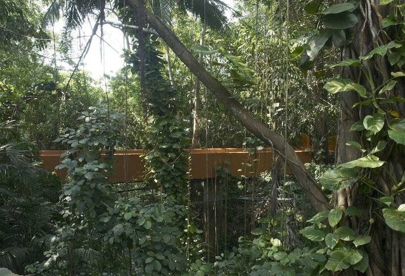 استراحتگاه Las Brisas Ixtapa