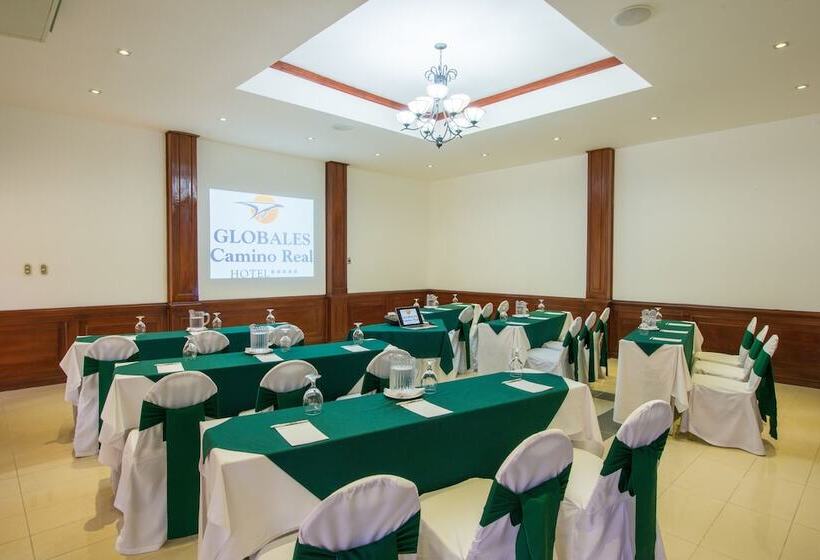 هتل Globales Camino Real Managua