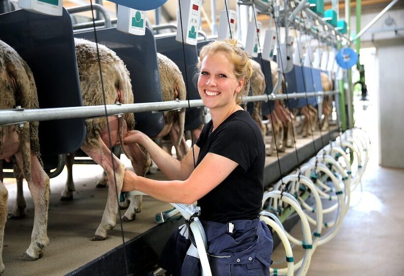 هتل Van Der Valk De Gouden Leeuw